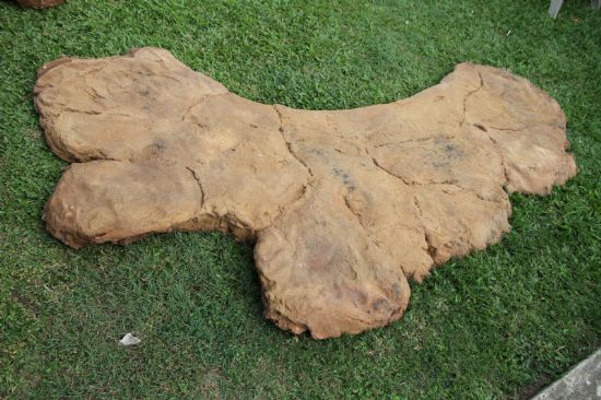 Rocks & Rock Wall Panel  - ROCK PATH SLAB