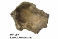 WP-007