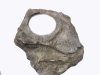 pot rock-001